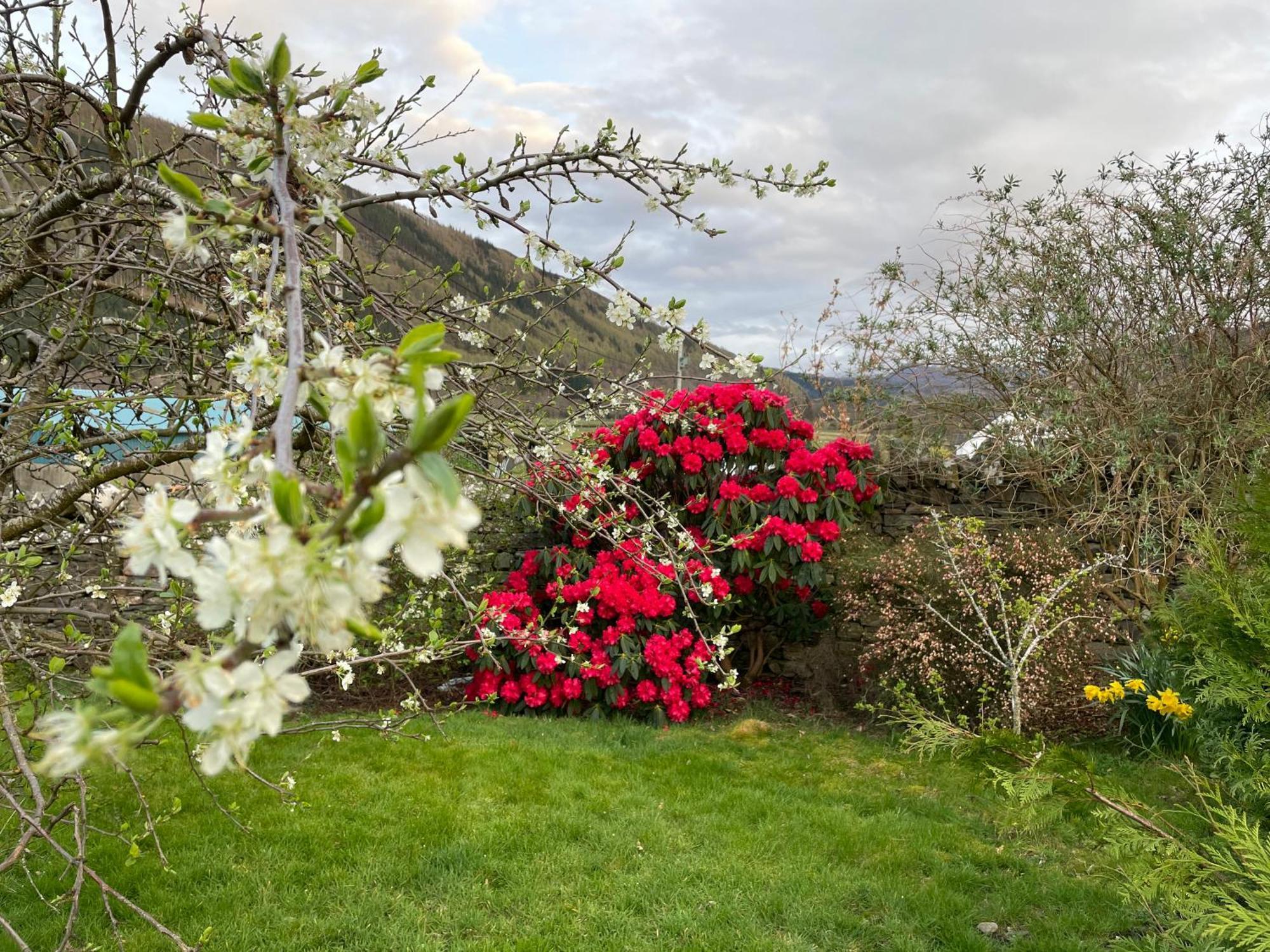 Clachan Garden B&B Гарв Экстерьер фото